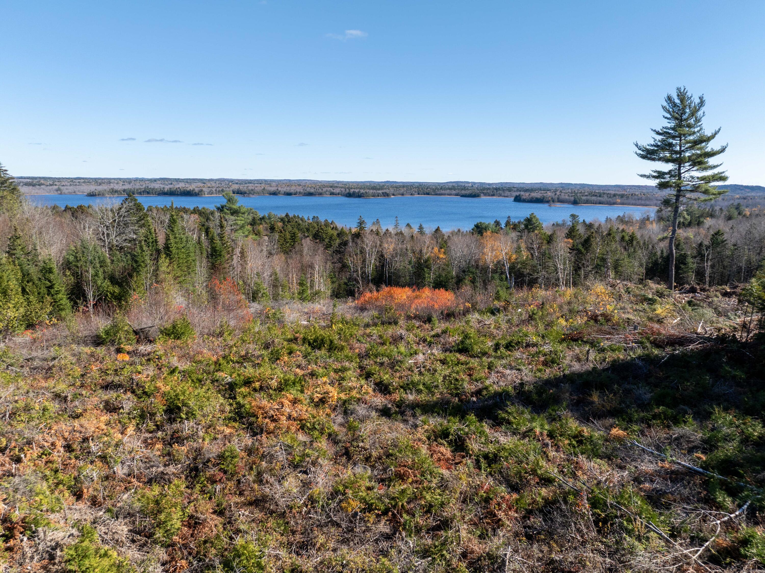 177 Means Cottage Road East Machias ME 04630