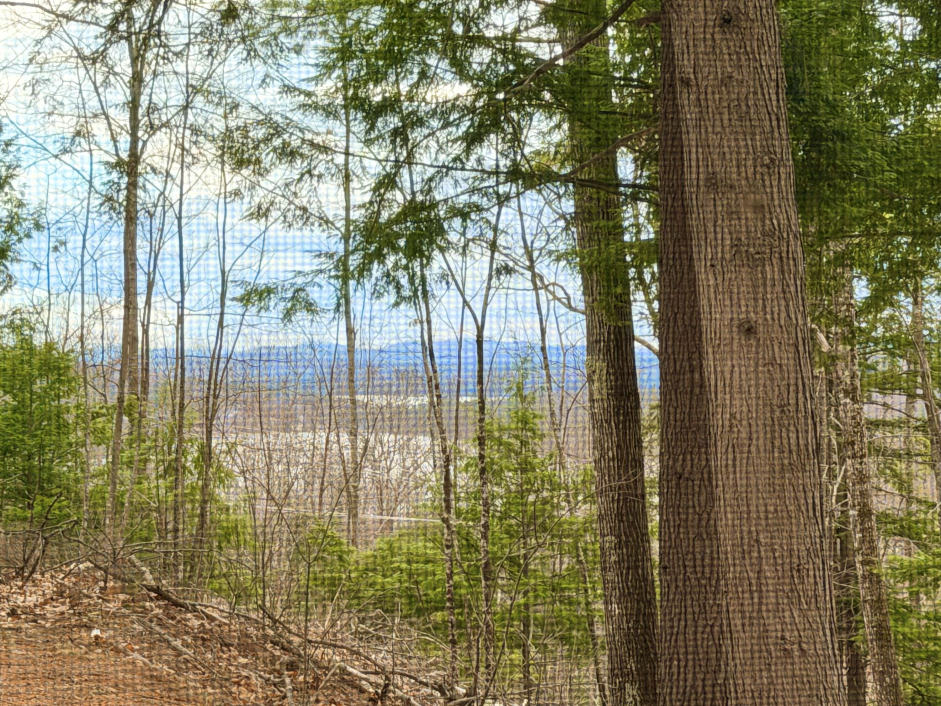 190 Deer Hill Road Harrison ME 04040