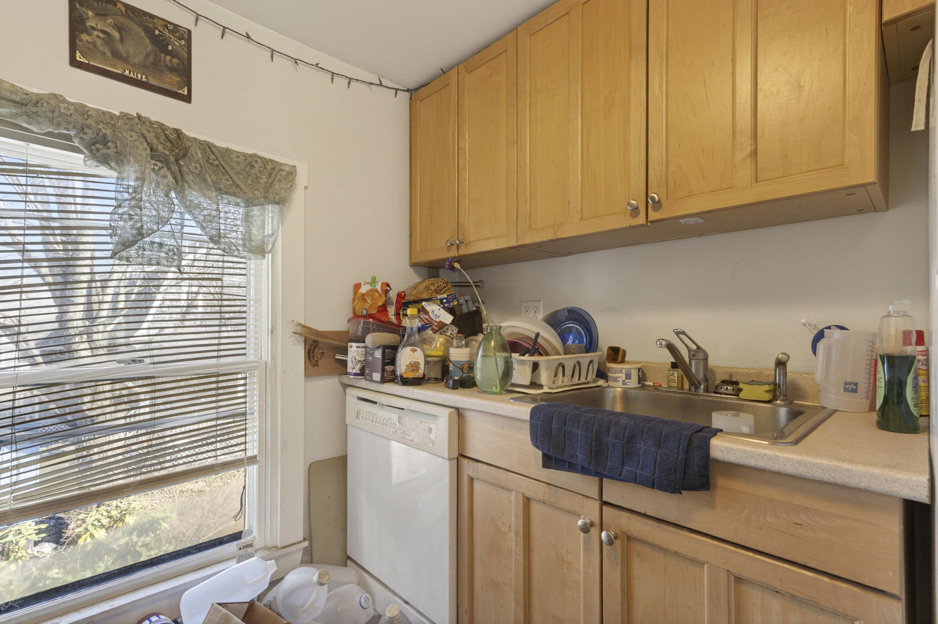 119 Cedar Street Belfast ME 04915