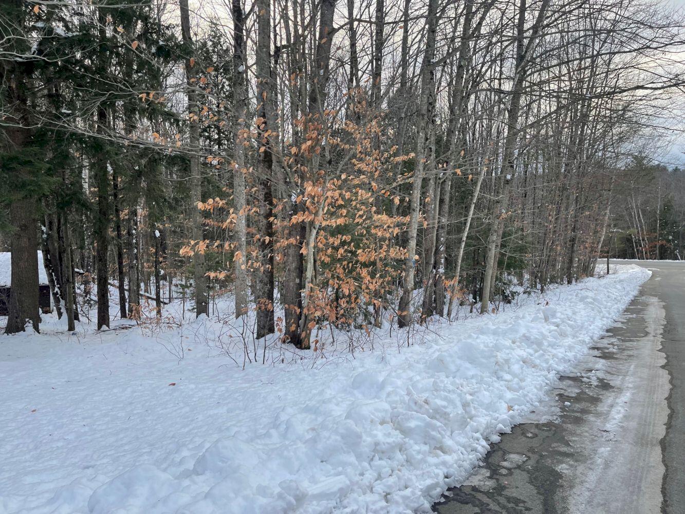 60 Rolling Ridge Jay ME 04239