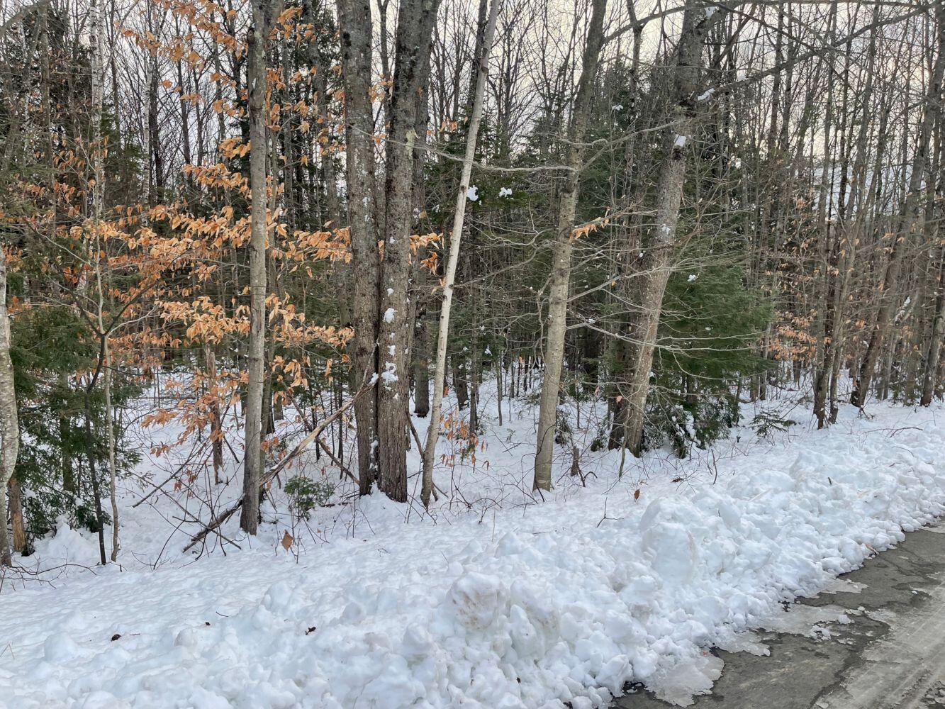 60 Rolling Ridge Jay ME 04239