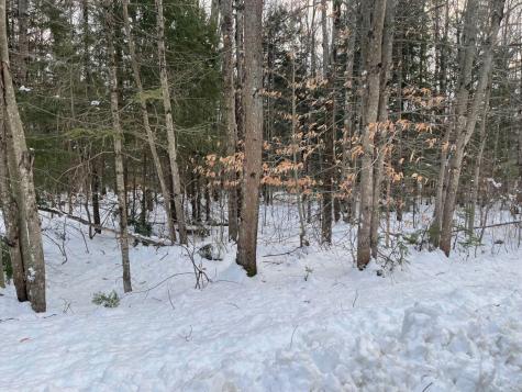 60 Rolling Ridge Jay ME 04239