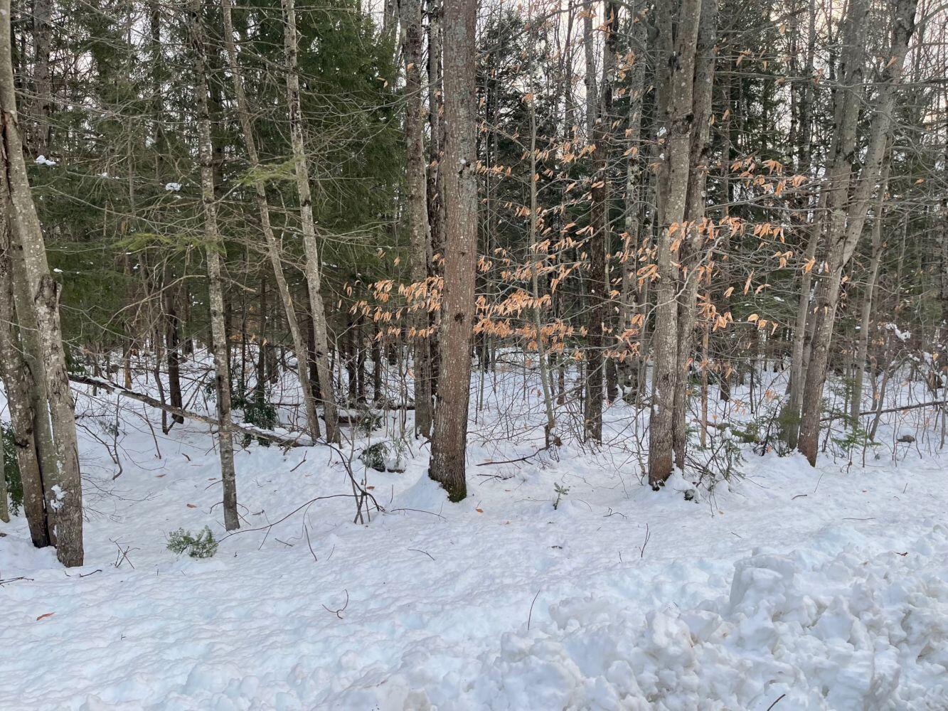 60 Rolling Ridge Jay ME 04239