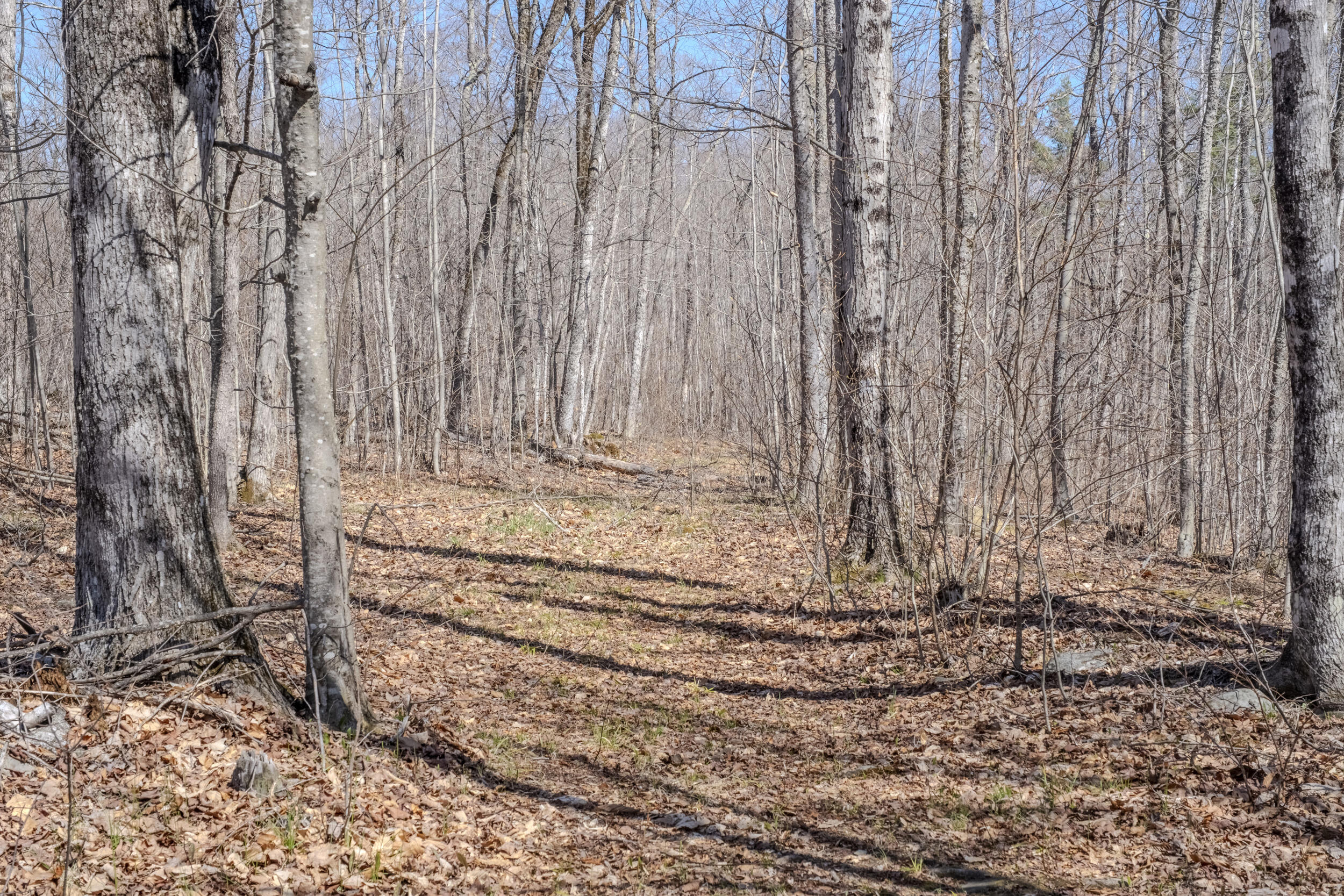59 Palmer Road Skowhegan ME 04976