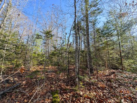 250 North Main Street Cherryfield ME 04622