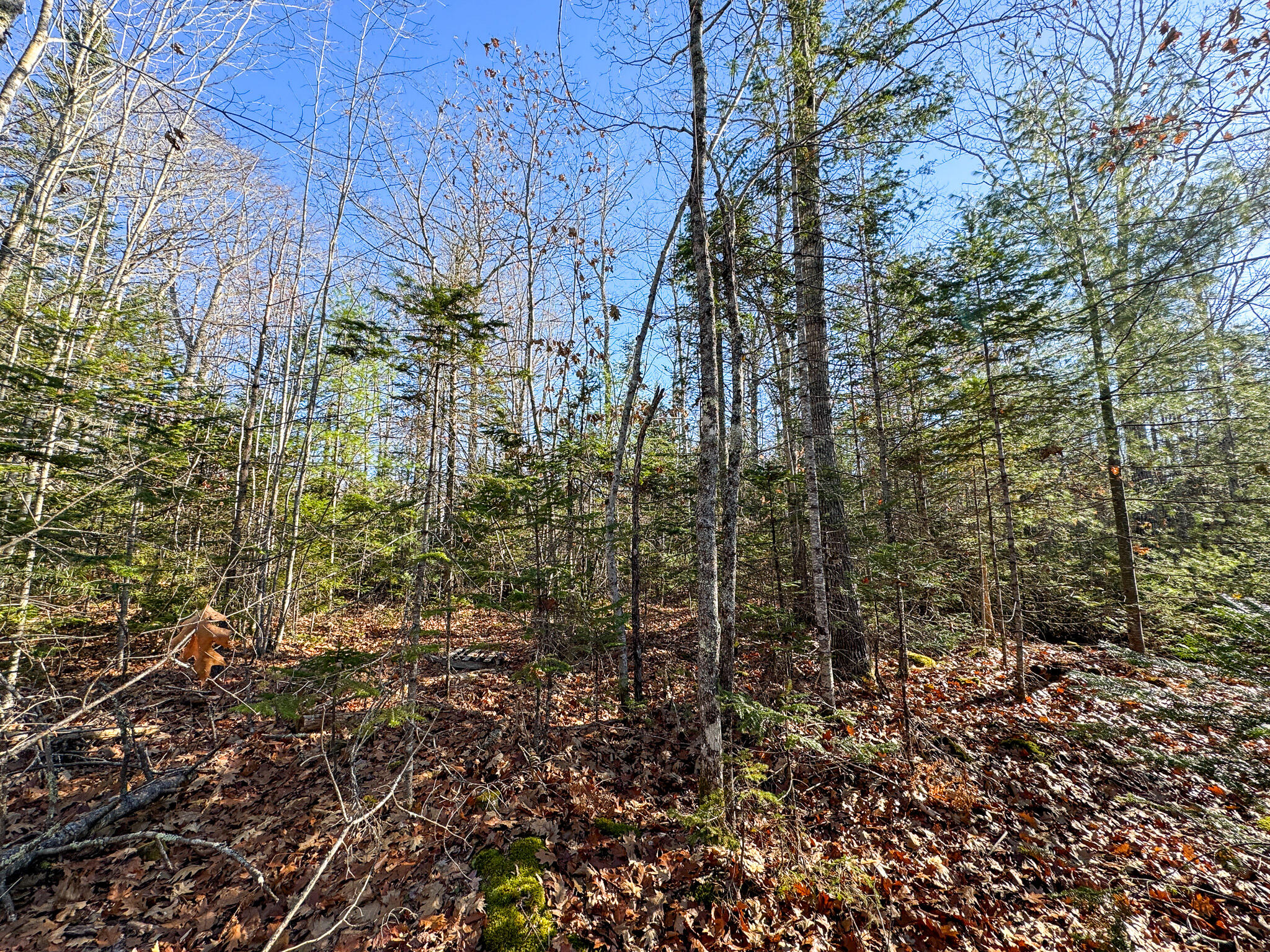 250 North Main Street Cherryfield ME 04622