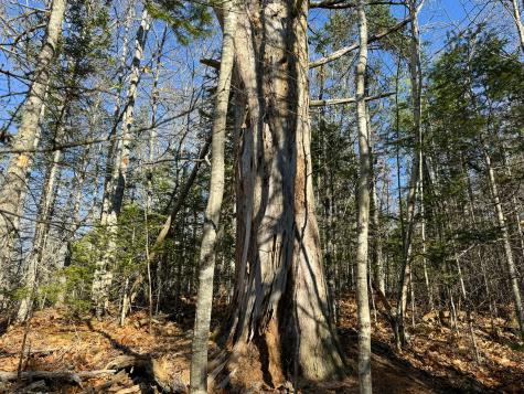 250 North Main Street Cherryfield ME 04622