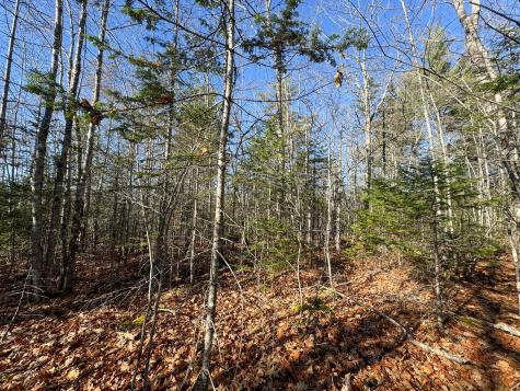 250 North Main Street Cherryfield ME 04622