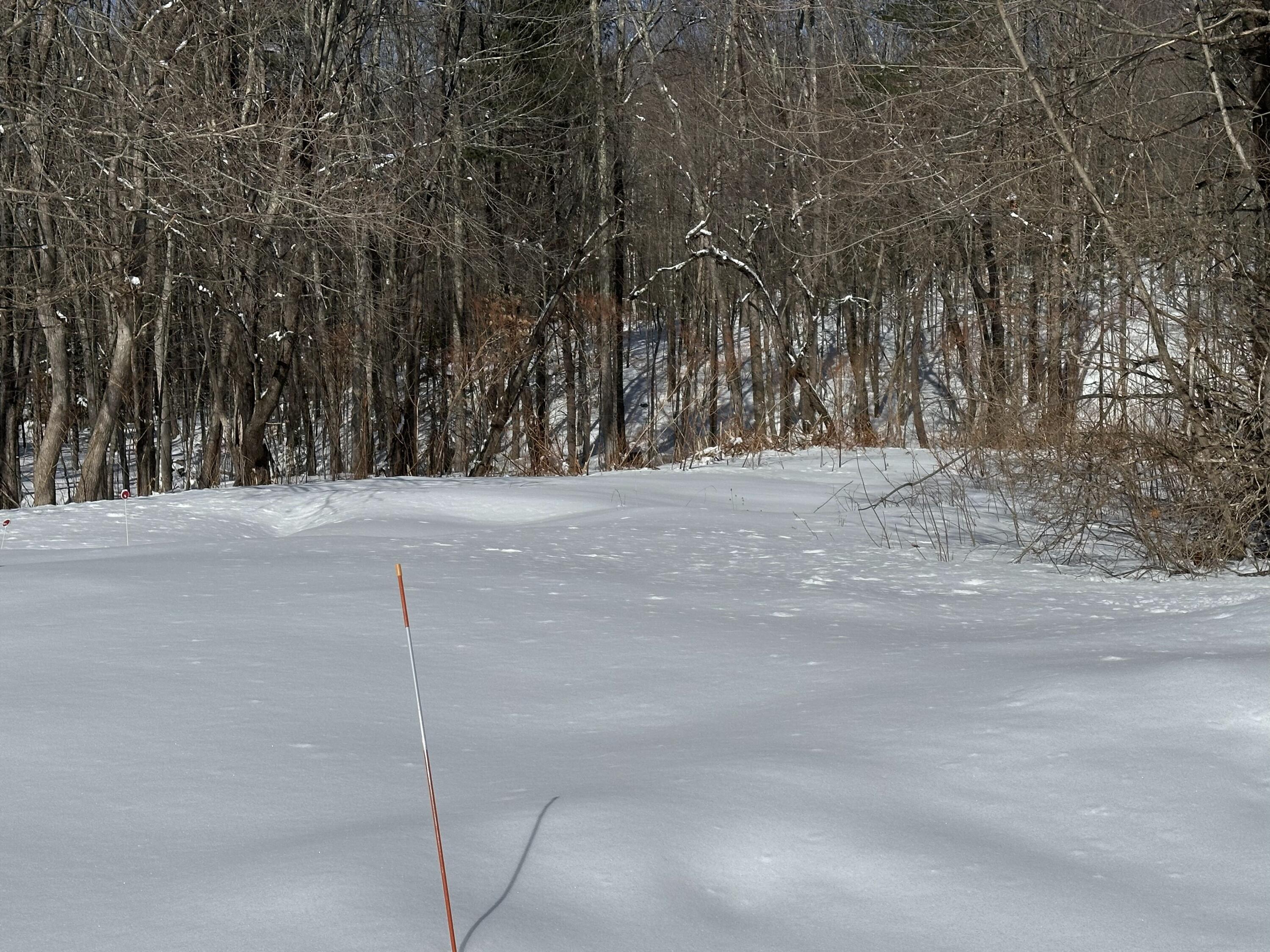 25 Yarmouth Road Gray ME 04039