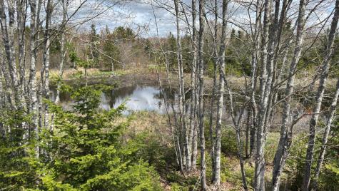 61 Ol Cranberry Way Trenton ME 04605