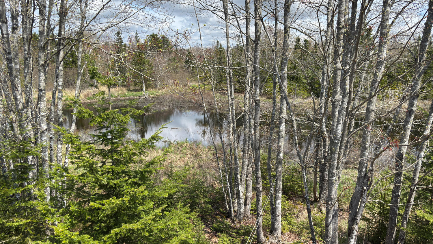 61 Ol Cranberry Way Trenton ME 04605