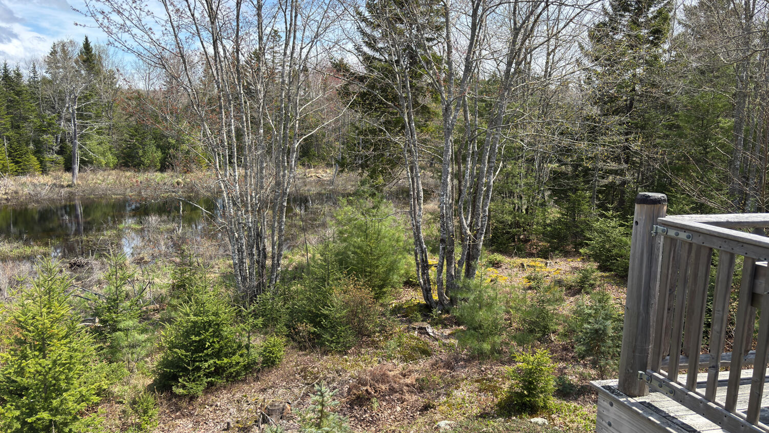 61 Ol Cranberry Way Trenton ME 04605