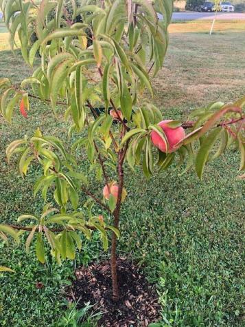 900 River Road Brunswick ME 04011