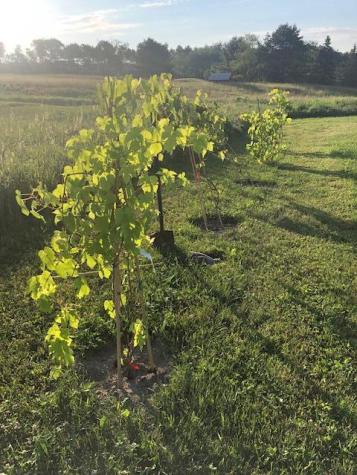 900 River Road Brunswick ME 04011