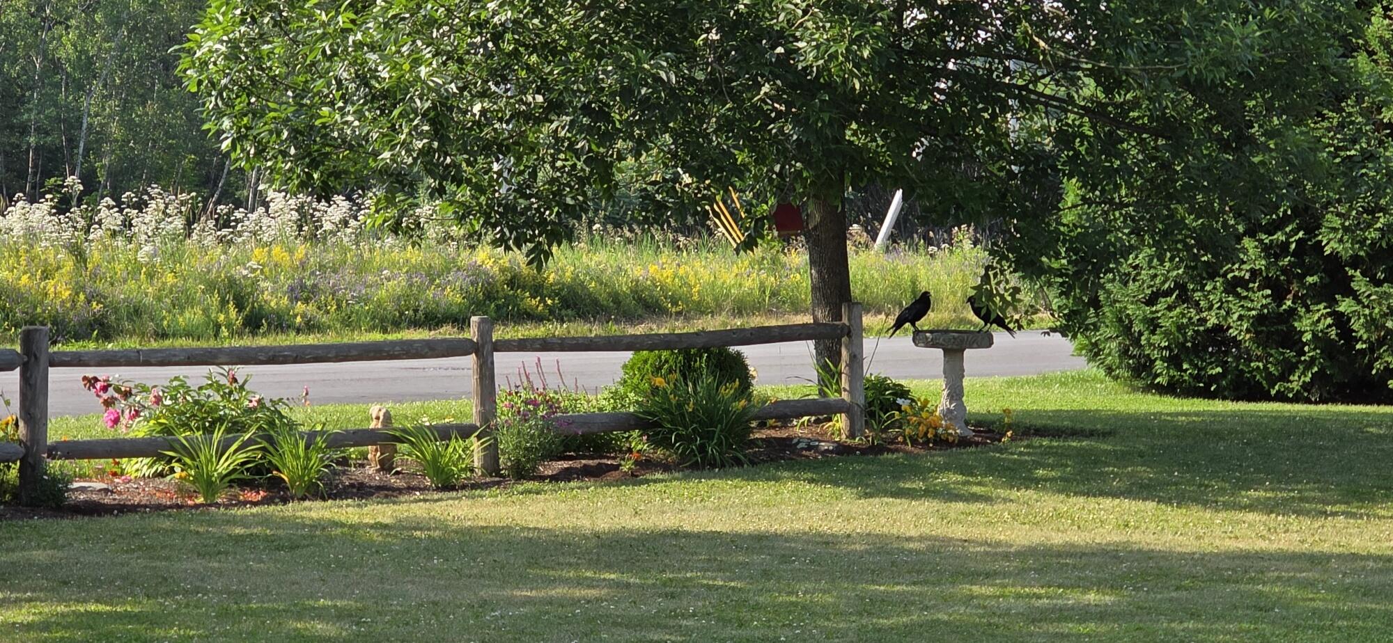 154 Judson Boulevard Bangor ME 04401