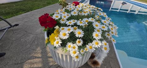 154 Judson Boulevard Bangor ME 04401