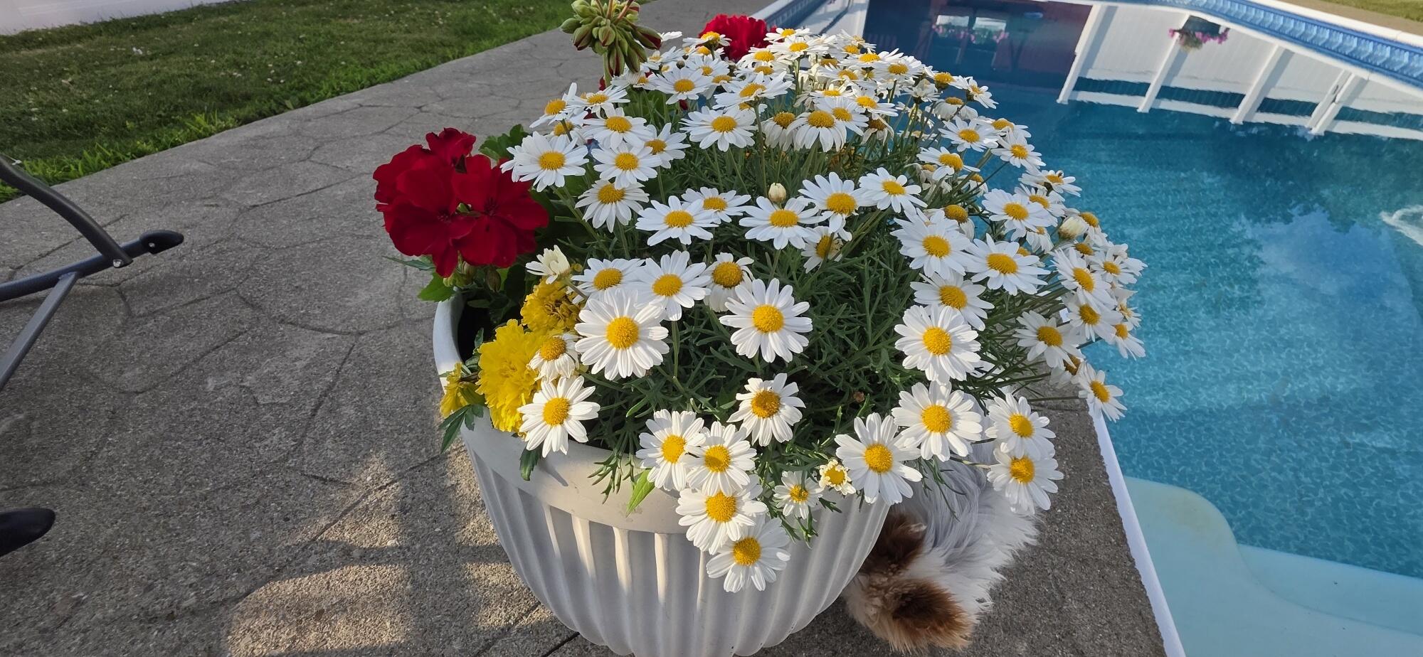 154 Judson Boulevard Bangor ME 04401