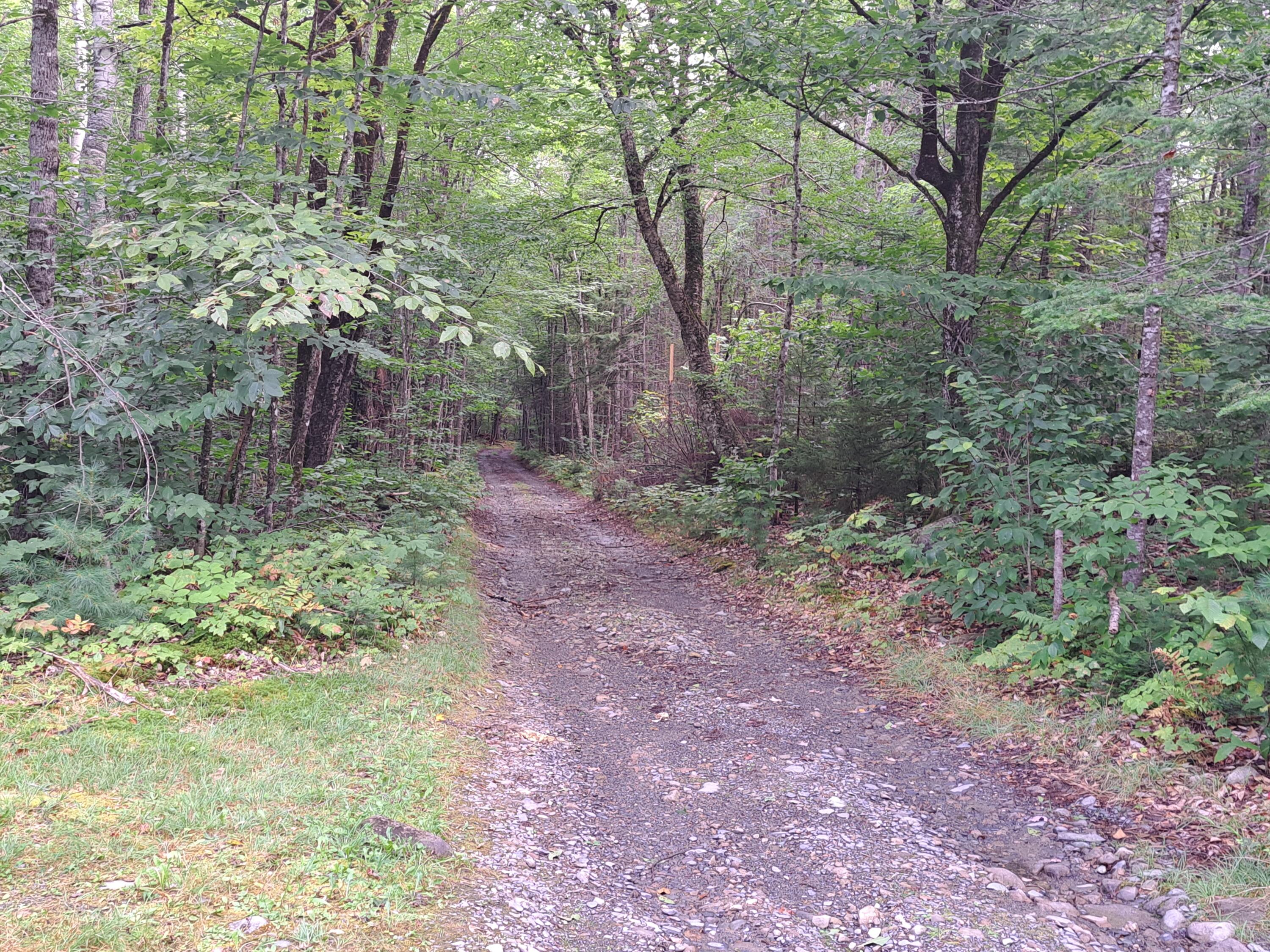 74 Packard Road Monson ME 04464