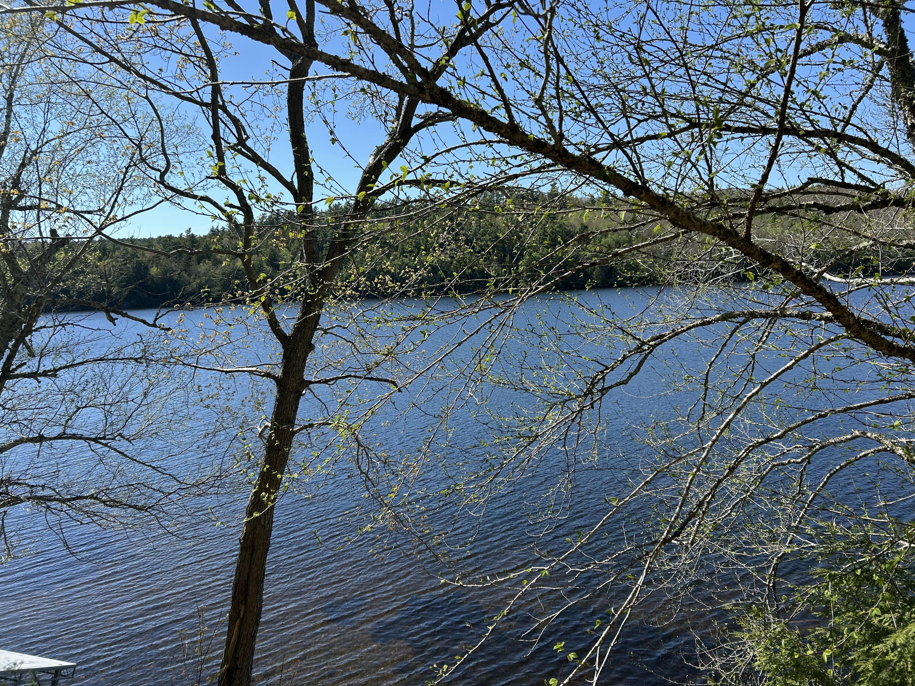 1548 46 Bucksport ME 04416