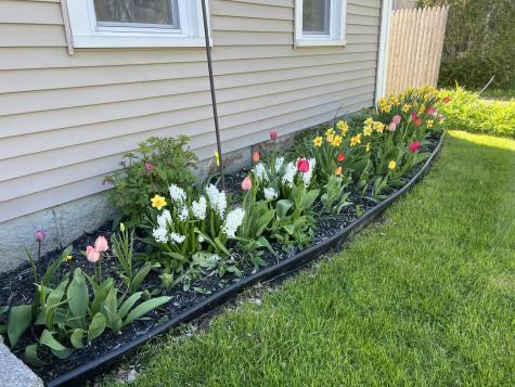 15 Wadsworth Street Thomaston ME 04861