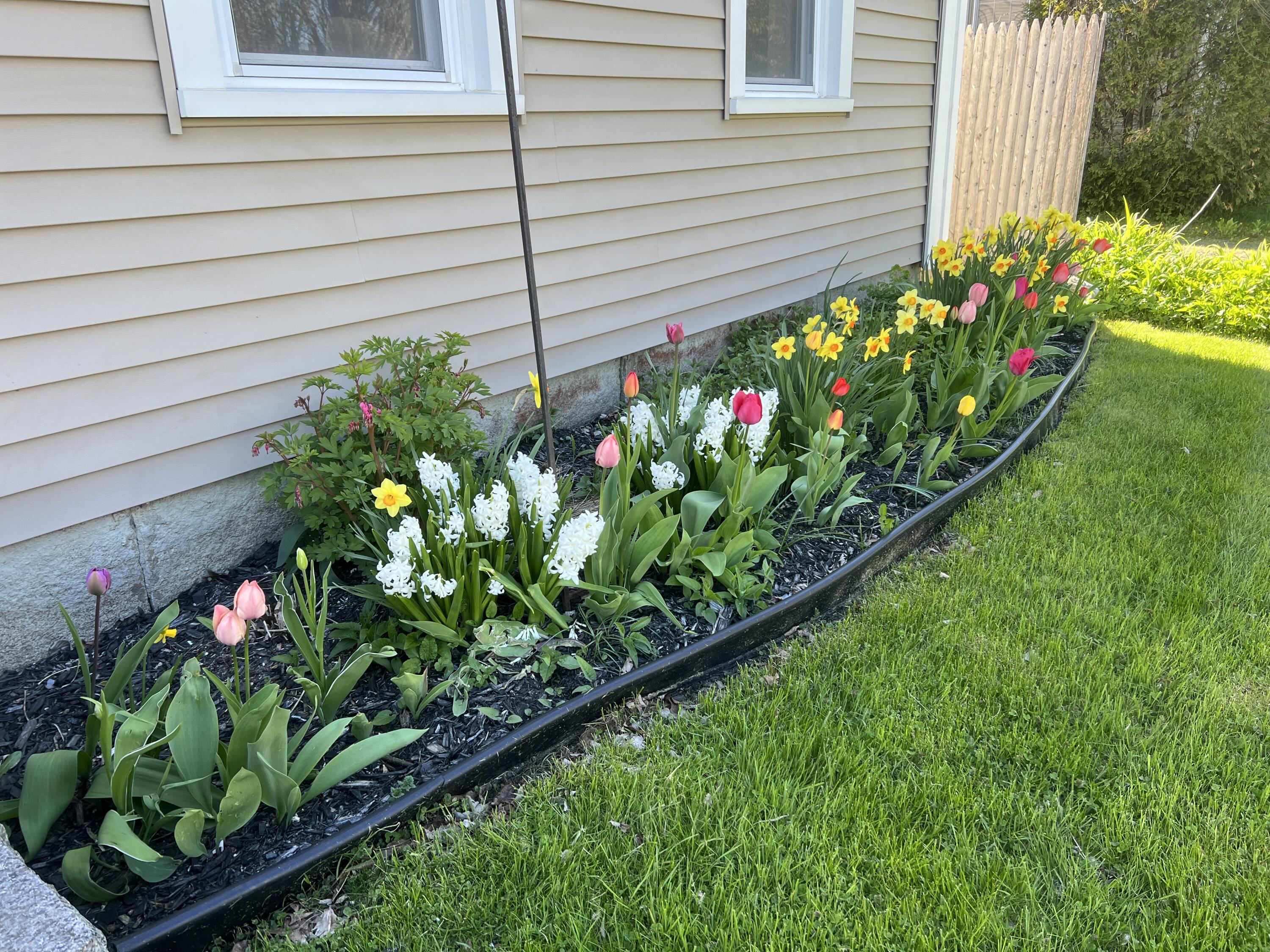 15 Wadsworth Street Thomaston ME 04861