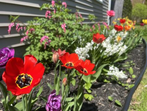 15 Wadsworth Street Thomaston ME 04861