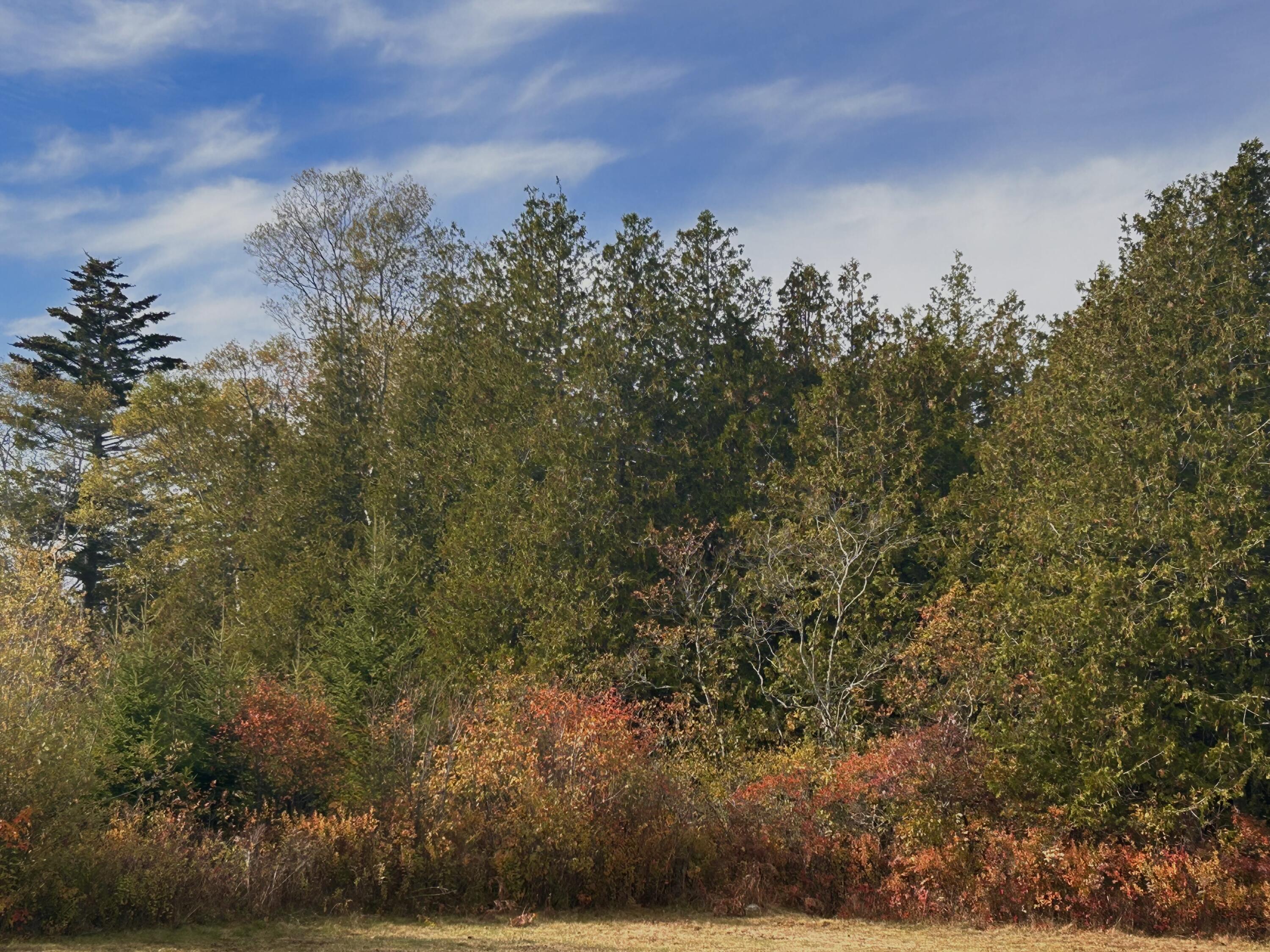 497 Main Street Gouldsboro ME 04607