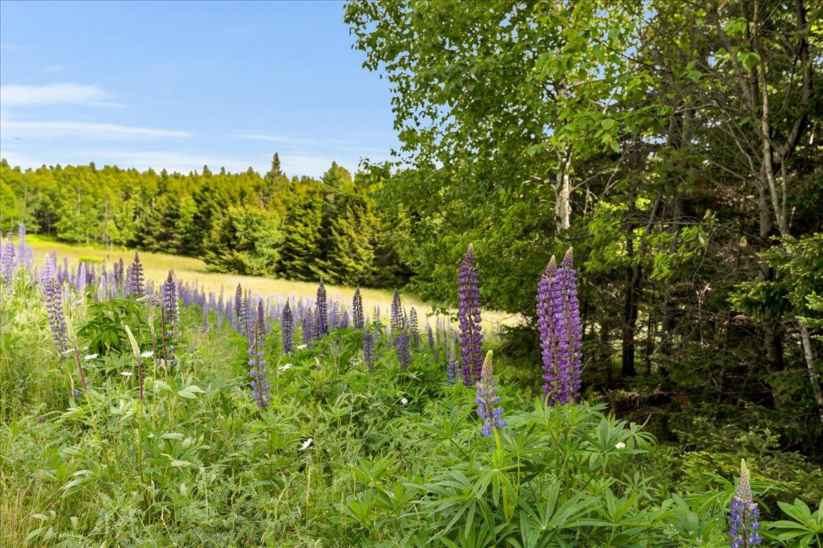 10 Moss Ledge Landing Lane Deer Isle ME 04627