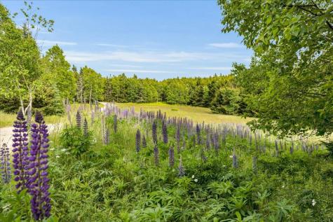 10 Moss Ledge Landing Lane Deer Isle ME 04627