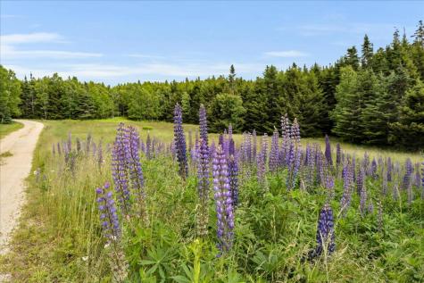10 Moss Ledge Landing Lane Deer Isle ME 04627