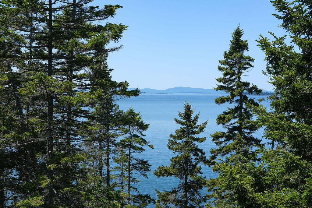 10 Moss Ledge Landing Lane Deer Isle ME 04627