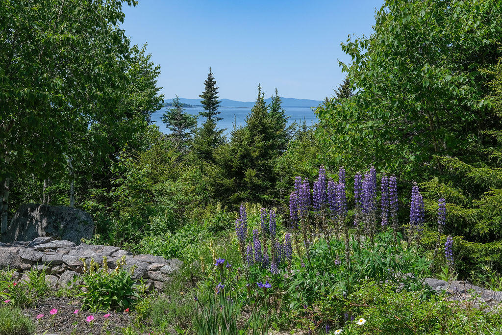 10 Moss Ledge Landing Lane Deer Isle ME 04627