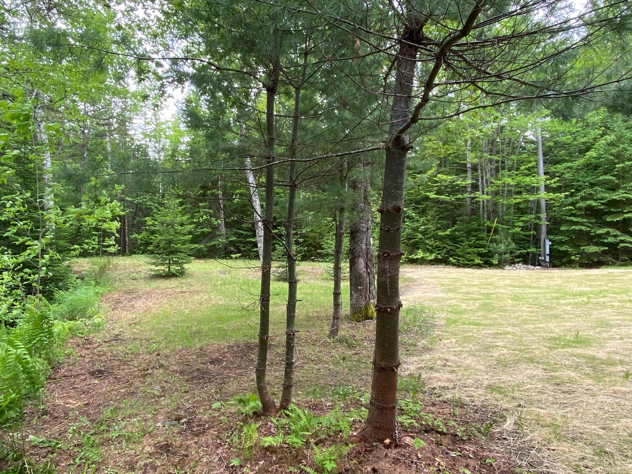 172 Blanchard Road Monson, ME