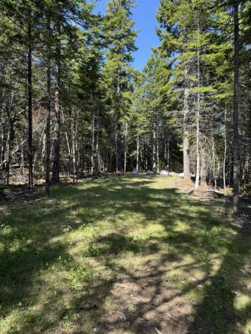 41 Sportsmen's Lodge Road Marshfield ME 04654