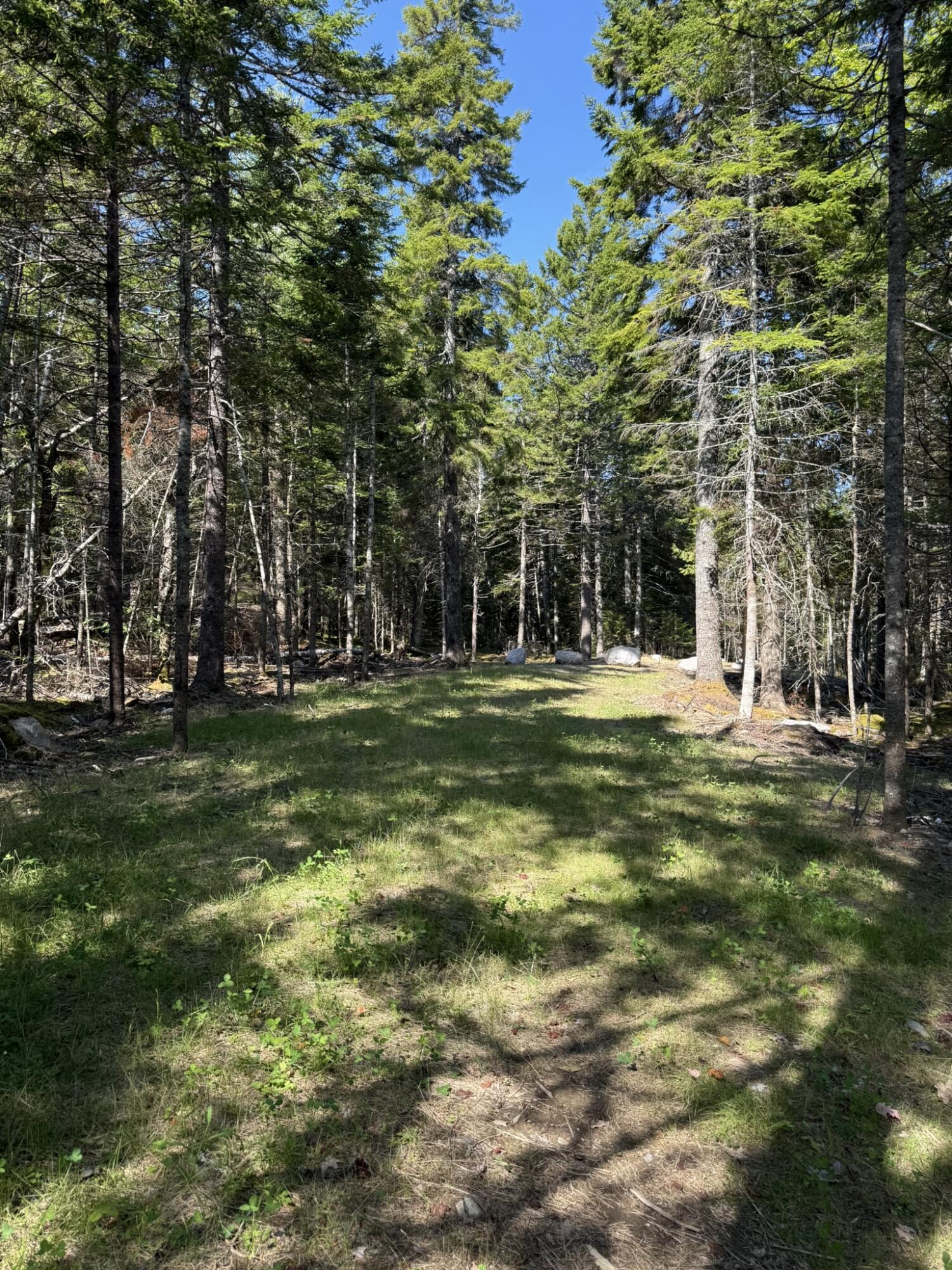 41 Sportsmen's Lodge Road Marshfield ME 04654