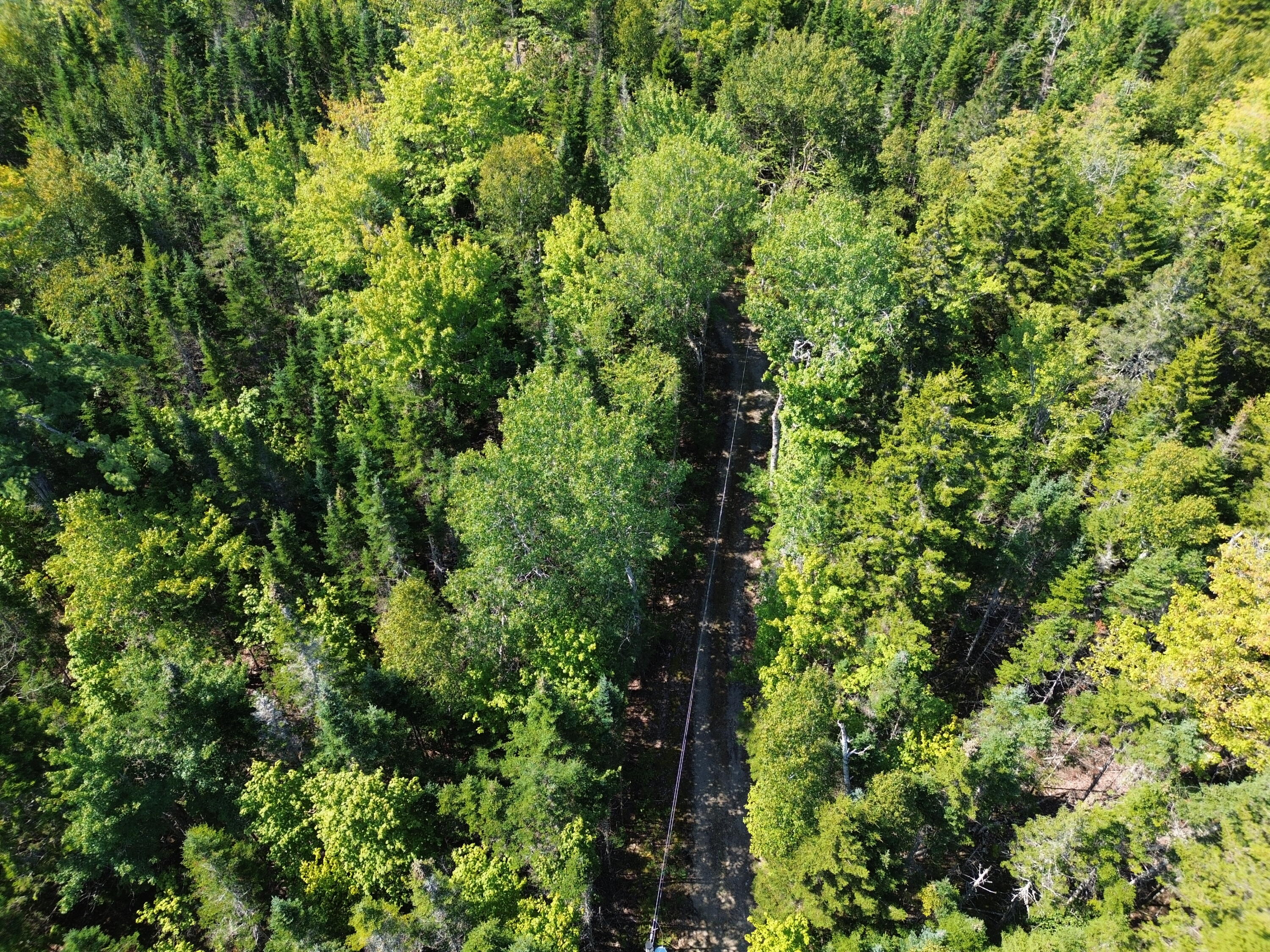 41 Sportsmen's Lodge Road Marshfield ME 04654