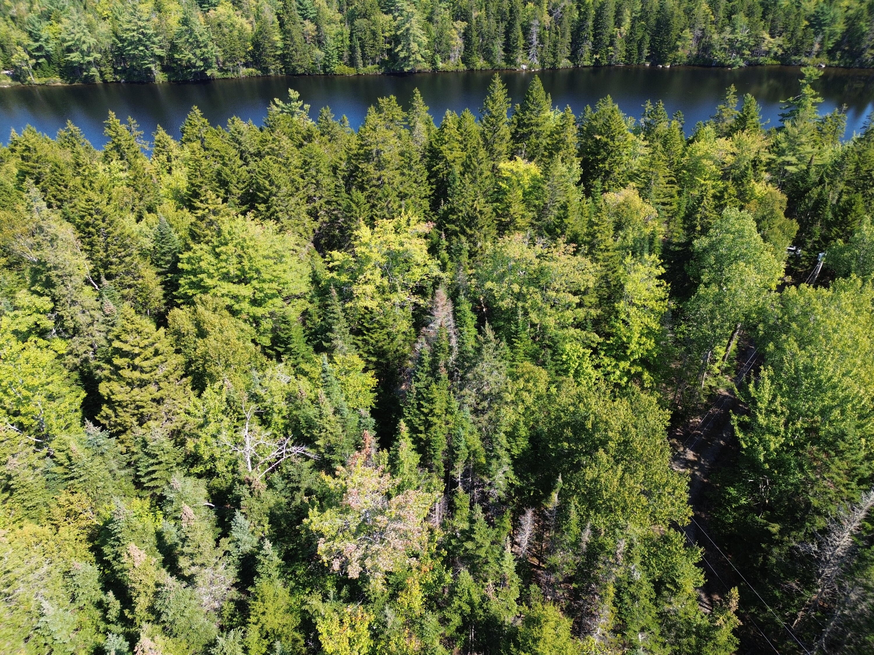 41 Sportsmen's Lodge Road Marshfield ME 04654