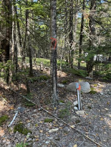 41 Sportsmen's Lodge Road Marshfield ME 04654