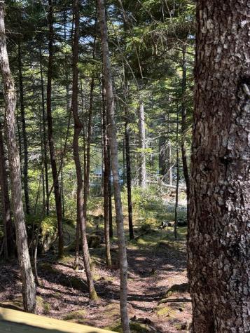 41 Sportsmen's Lodge Road Marshfield ME 04654