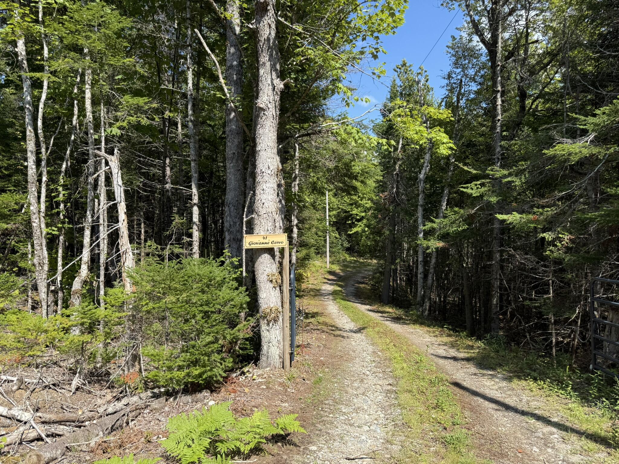 41 Sportsmen's Lodge Road Marshfield ME 04654