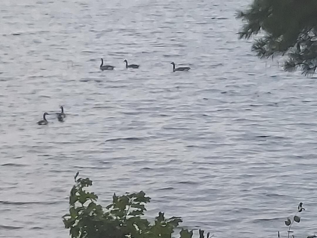 5 Mallard Lane Bradley ME 04411