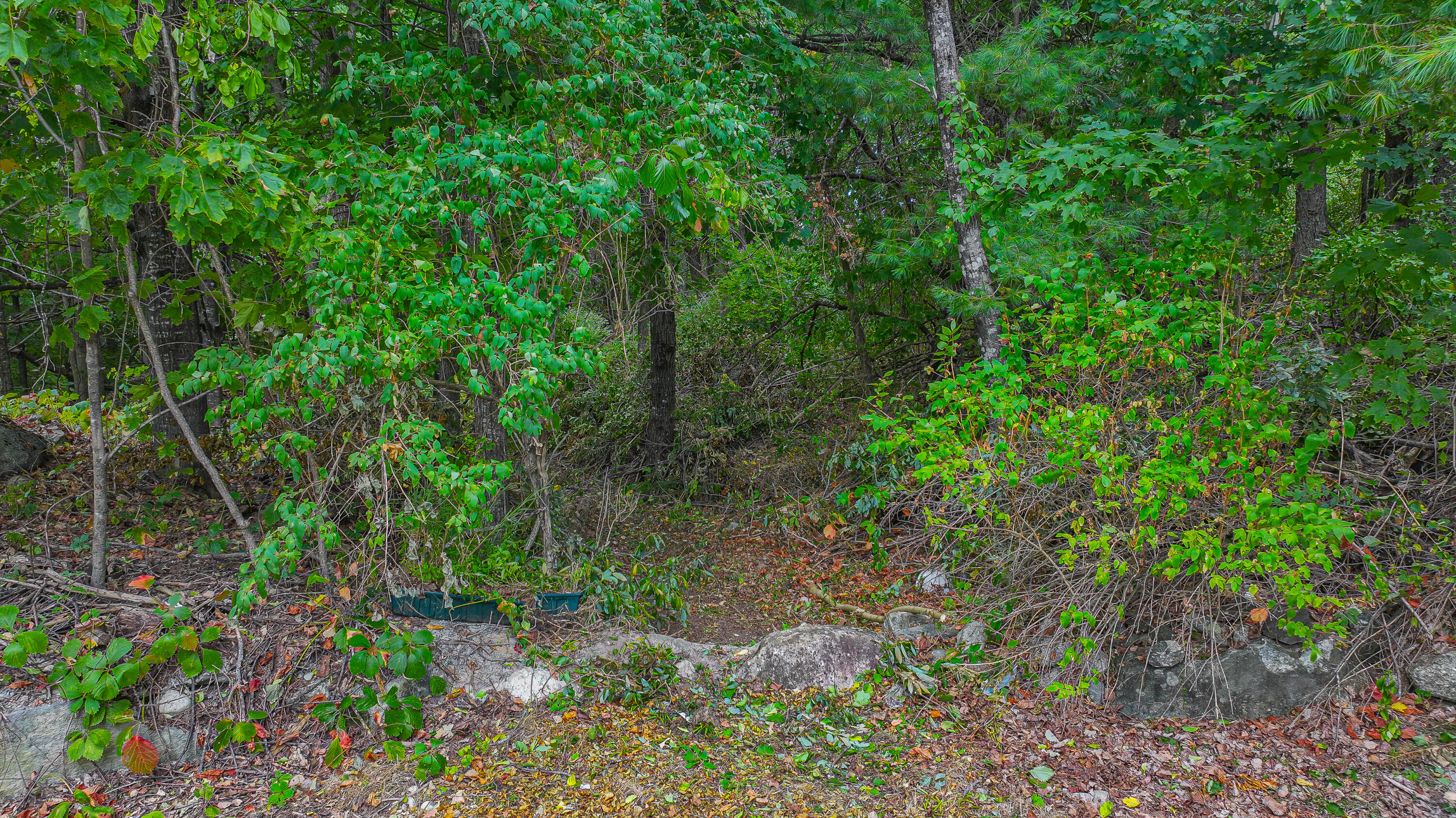 16 Buckfield Road Paris ME 04281