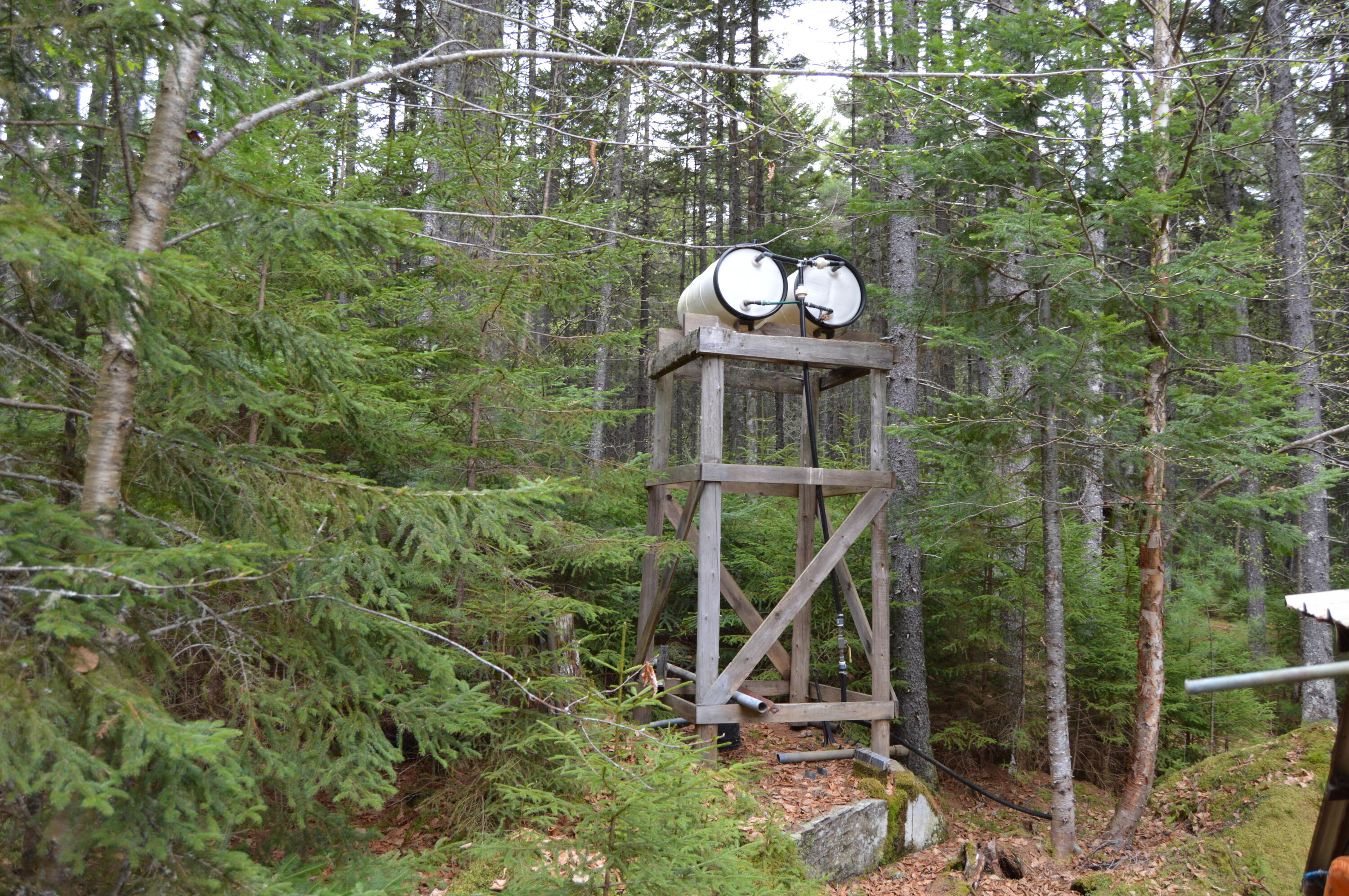 M1 L12-10 Toothaker Island Rangeley Plt ME 04970