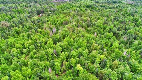 823 Us Route 1 Amity ME 04471