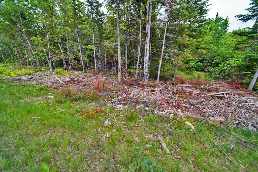 823 Us Route 1 Amity ME 04471