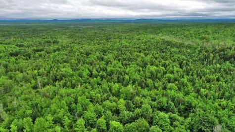 823 Us Route 1 Amity ME 04471