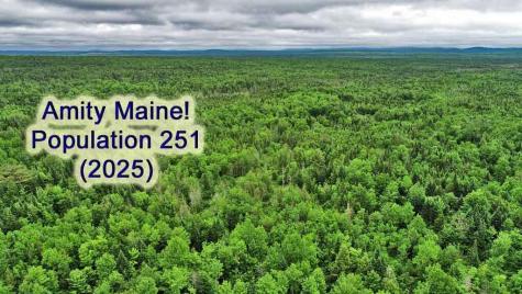 823 Us Route 1 Amity ME 04471