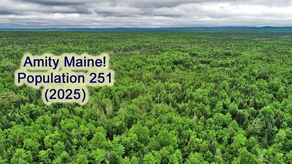 823 Us Route 1 Amity ME 04471