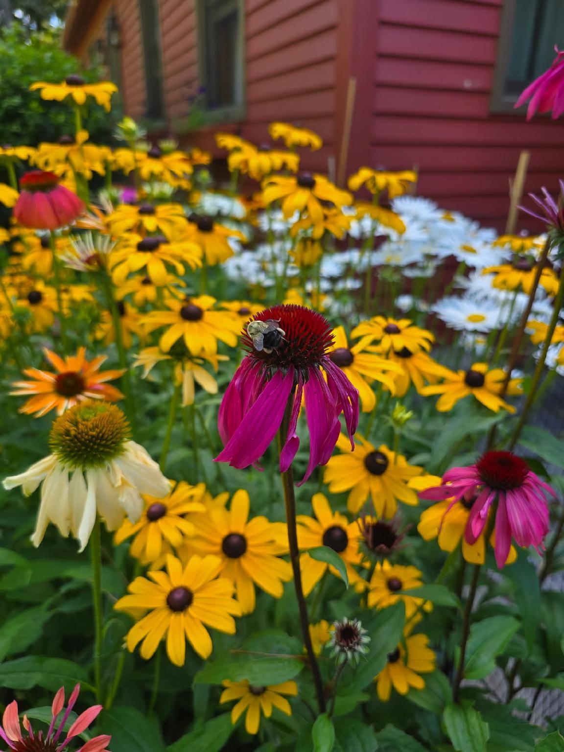 208 Youngs Point Road Wiscasset ME 04578