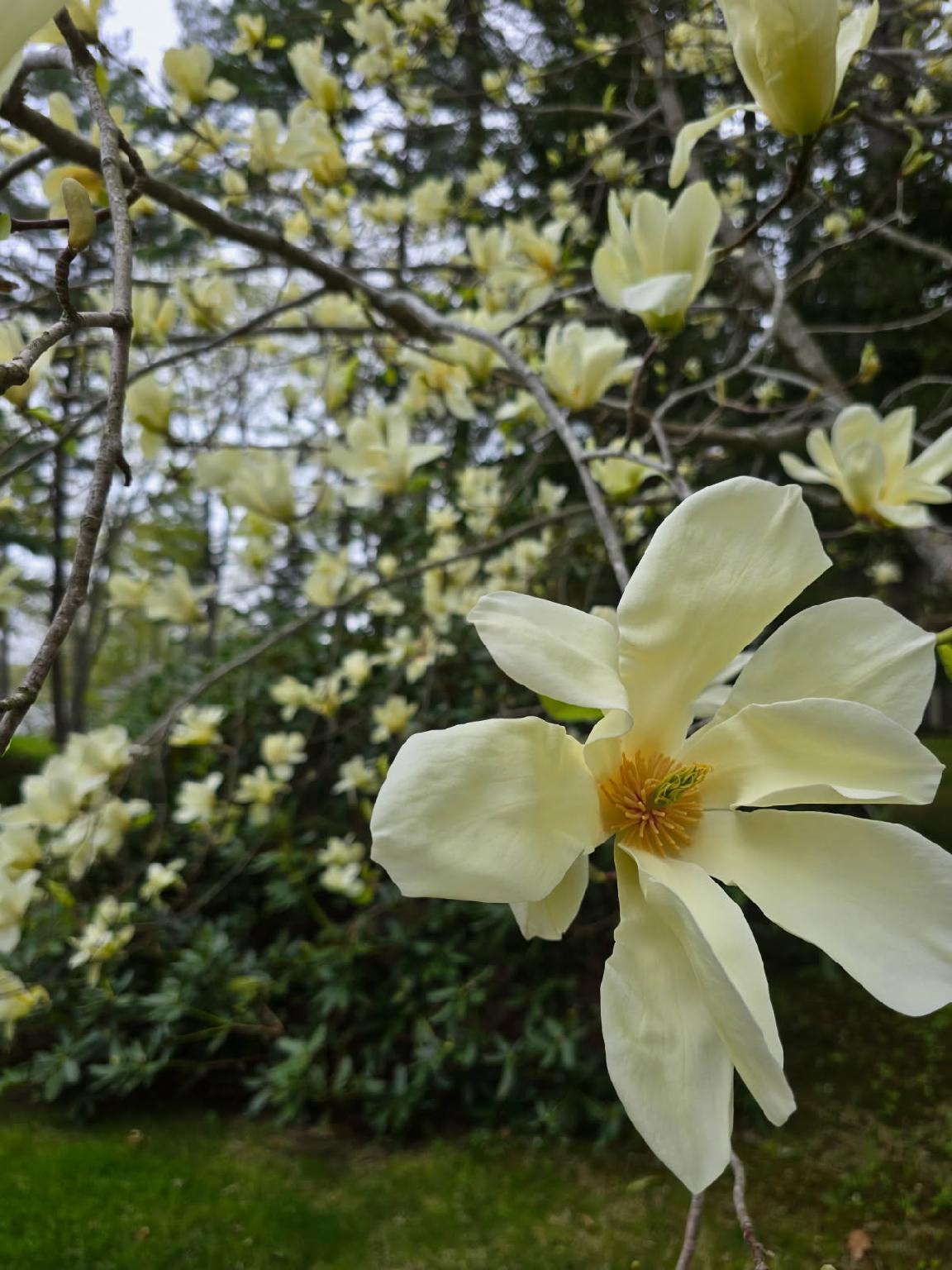 208 Youngs Point Road Wiscasset ME 04578